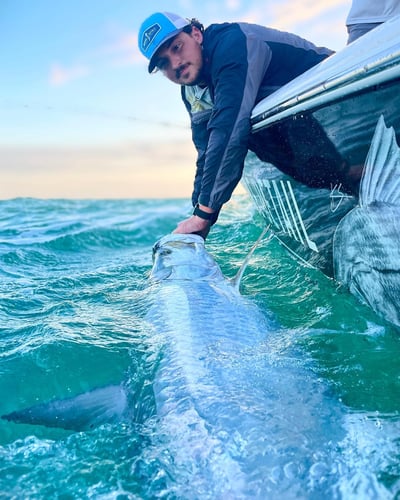 Boca Grande Pass Tarpon in Captiva