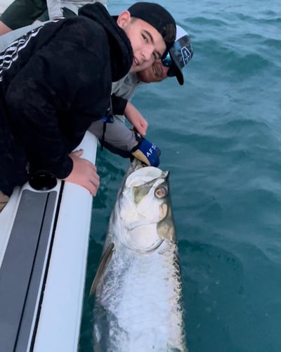 Boca Grande Pass Tarpon in Captiva