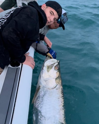 Boca Grande Pass Tarpon In Captiva