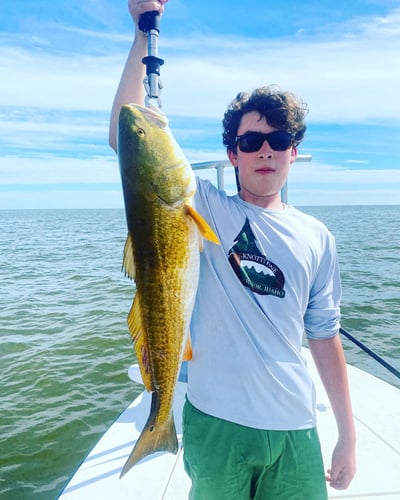 Louisiana Salt Marsh Fly Trip In Hopedale