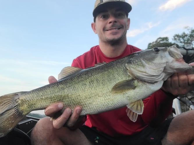 Lake Travis Bass Fishing In Austin