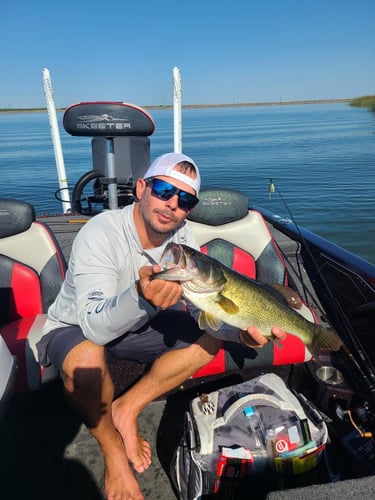 Central Texas Bass Fishing In Austin