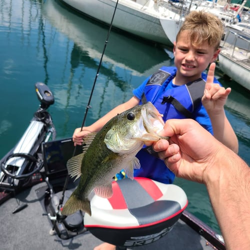 Lake Travis Bass Fishing In Austin