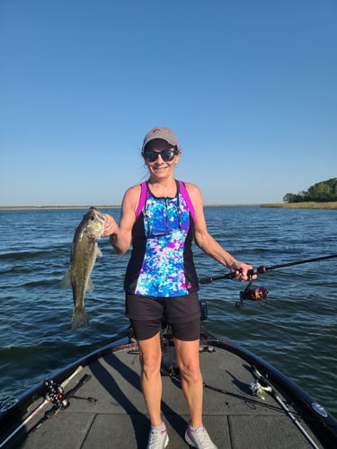 Central Texas Bass Fishing In Austin