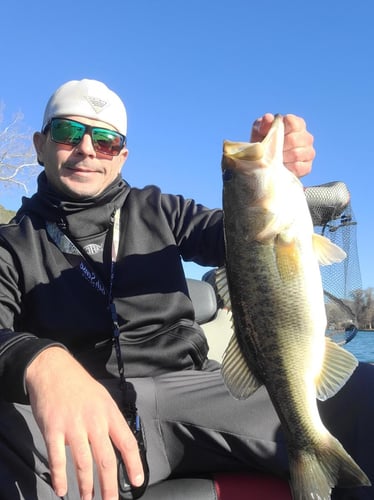 Lake Bastrop Bass Fishing In Bastrop