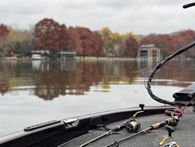 Stillhouse Lake Bass Fishing In Belton