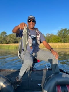 Stillhouse Lake Bass Fishing In Belton