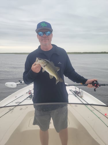 Lake Okeechobee Largemouth Hookfest In Clewiston