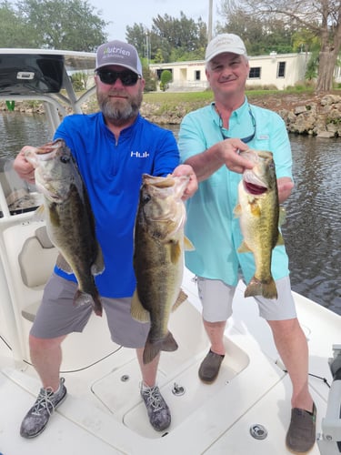 Lake Okeechobee Largemouth Hookfest In Clewiston