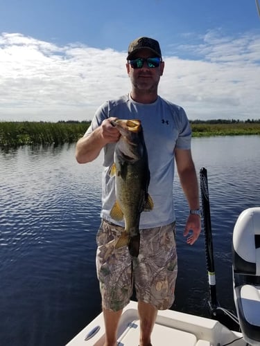 Lake Okeechobee Largemouth Hookfest In Clewiston