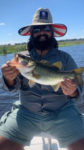 Lake Okeechobee Largemouth Hookfest In Clewiston