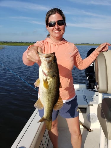 Lake Okeechobee Largemouth Hookfest In Clewiston