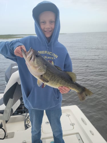 Lake Okeechobee Largemouth Hookfest In Clewiston