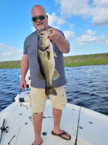 Lake Okeechobee Largemouth Hookfest In Clewiston