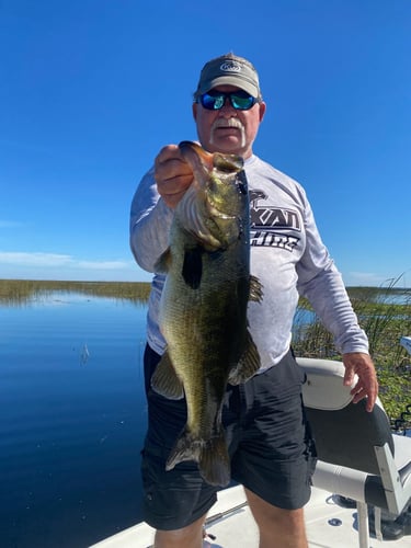 Lake Okeechobee Largemouth Hookfest In Clewiston