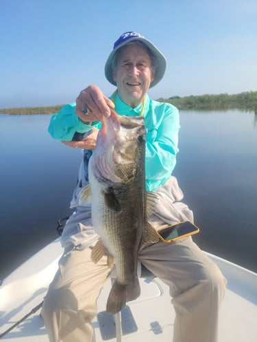 Lake Okeechobee Largemouth Hookfest In Clewiston