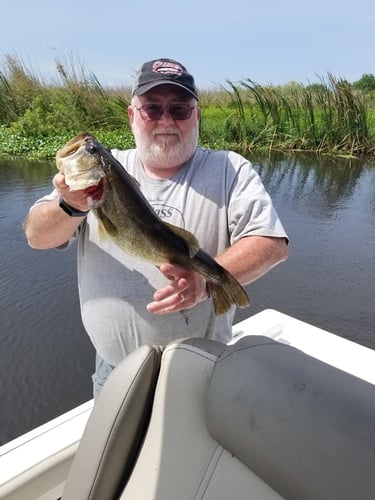 Lake Okeechobee Largemouth Hookfest In Clewiston