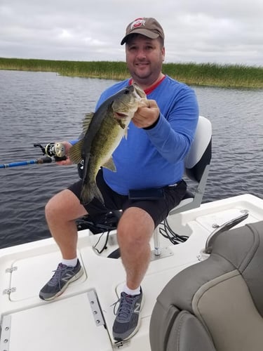 Lake Okeechobee Largemouth Hookfest In Clewiston