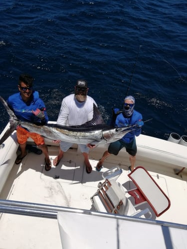 Cabo Offshore Magic In Cabo San Lucas