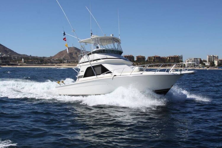 Cabo Offshore Magic in Cabo San Lucas