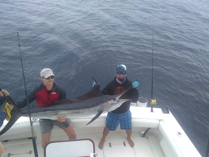 Cabo Offshore Magic in Cabo San Lucas