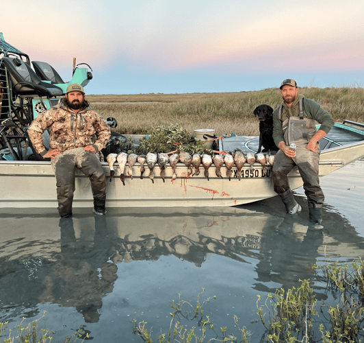 Coastal Bend Ducks In Rockport