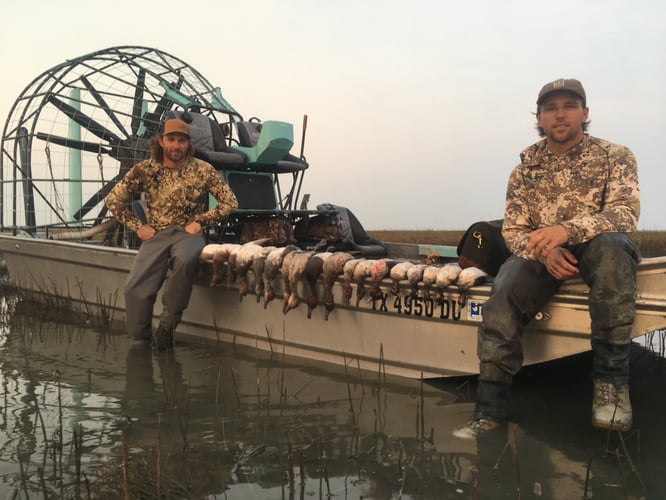 Coastal Bend Ducks In Rockport