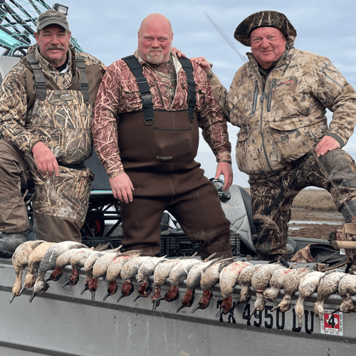 Coastal Bend Ducks In Rockport