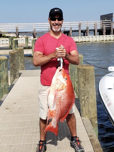 State Snapper Trip In Gulf Shores