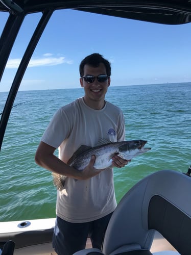 Intro Fishing Trip in Gulf Shores