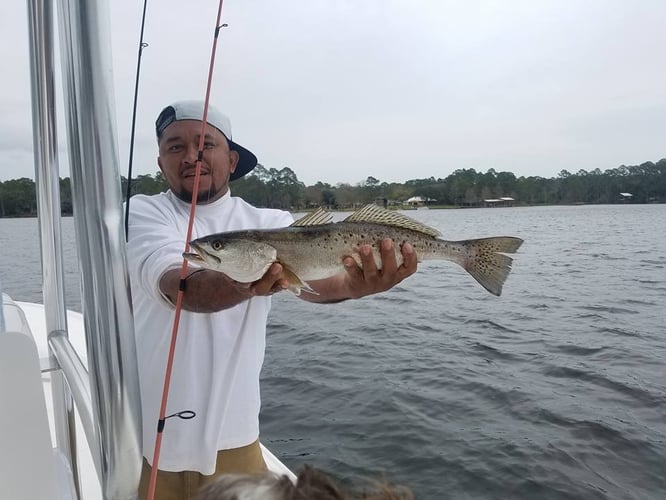 Beginner Rod Bending In Gulf Shores