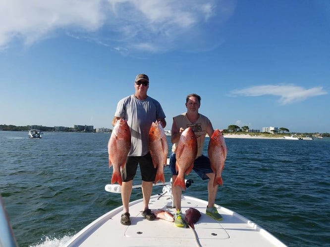 State Snapper Trip In Gulf Shores