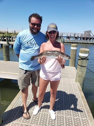 Intro Fishing Trip in Gulf Shores