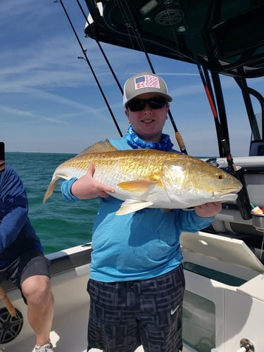 Intro Fishing Trip in Gulf Shores