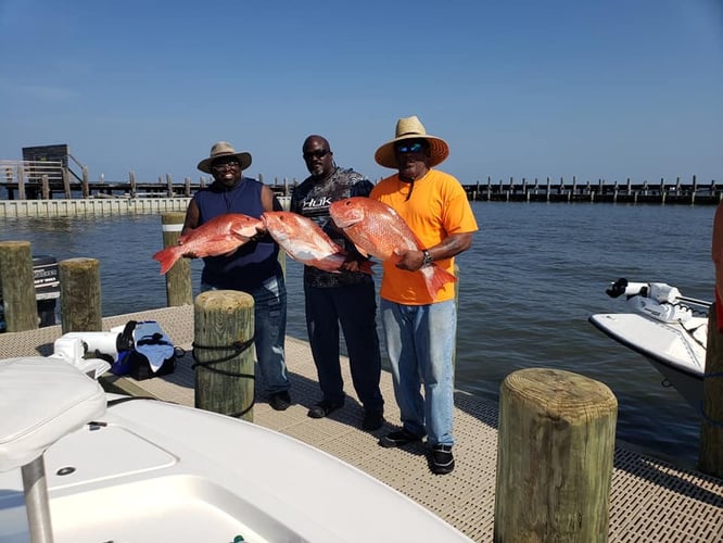 State Snapper Trip In Gulf Shores