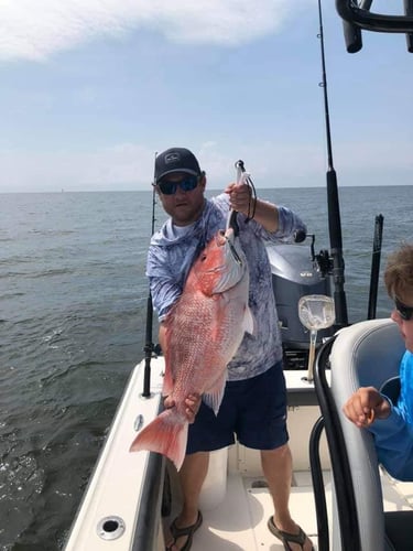 State Snapper Trip In Gulf Shores