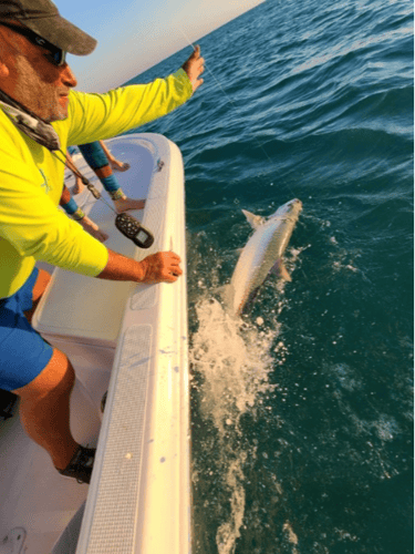 Islamorada Tarpon On The Fly In Islamorada