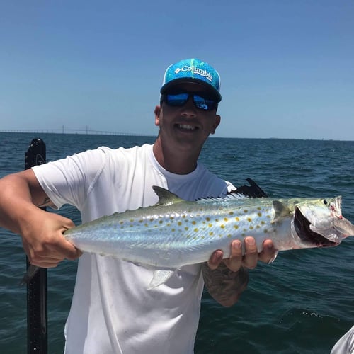 Tampa Bay Big Fish Special In Holmes Beach