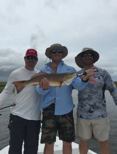 Cajun Inshore Chase In Golden Meadow