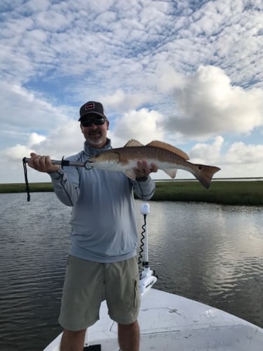 Cajun Inshore Chase In Golden Meadow