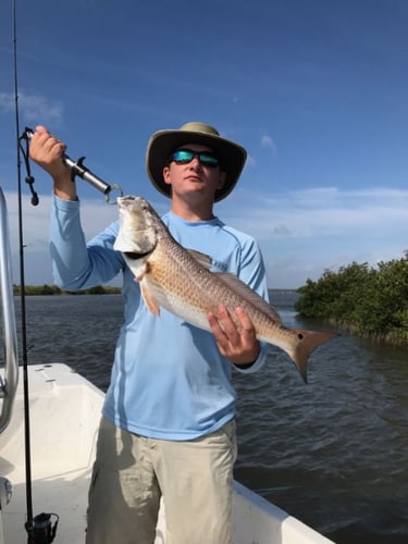 Cajun Inshore Chase In Golden Meadow