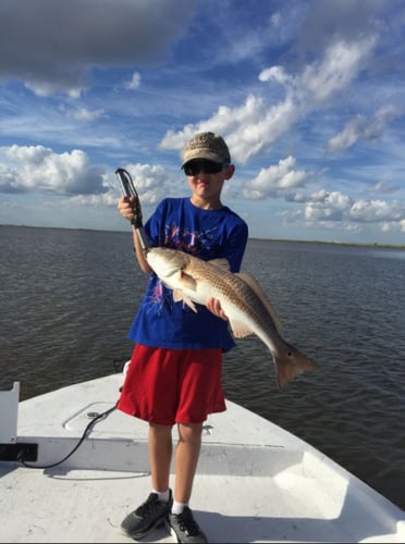 Cajun Inshore Chase In Golden Meadow