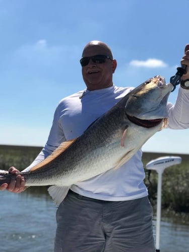 Cajun Inshore Chase In Golden Meadow