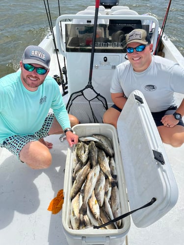 Cajun Inshore Chase In Golden Meadow