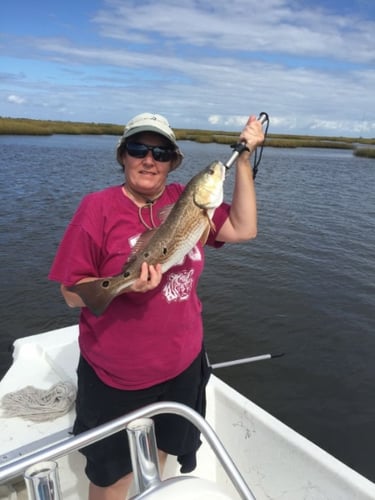 Cajun Inshore Chase In Golden Meadow