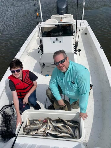 Cajun Inshore Chase In Golden Meadow