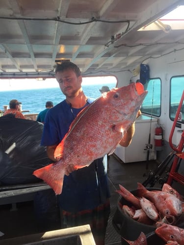 Snapper Smacker In Port Aransas