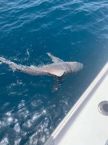 Offshore Grand Slam In Port Aransas