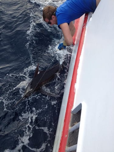 Offshore Grand Slam In Port Aransas