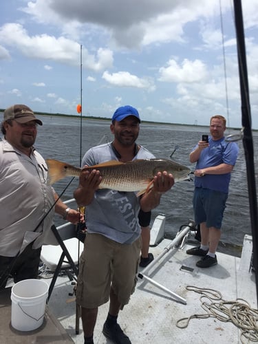 Overnight Bayou Adventure in Lafitte
